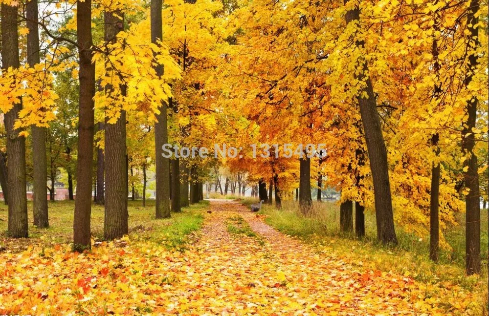 

3d Diy diamond painting 30*50cm square diamond mosaic cross stitch kits for embroidery home decor patchwork accessories E165
