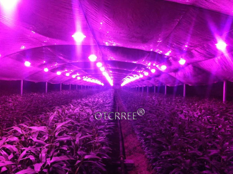 1 Вт 3 Вт 5 Вт полноспектральный светодиодный светильник для выращивания 380-840nm, Лучший светодиодный чип для выращивания растений в помещении