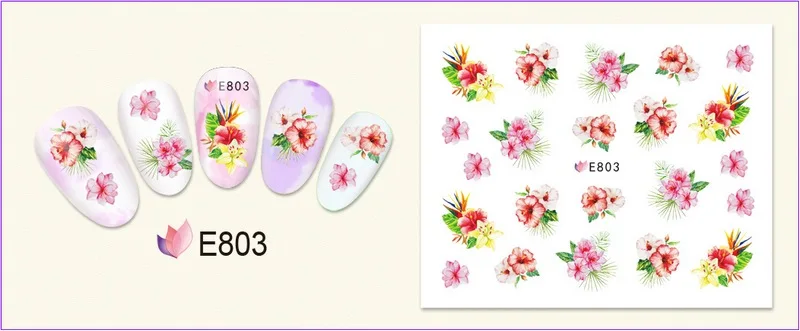 E803