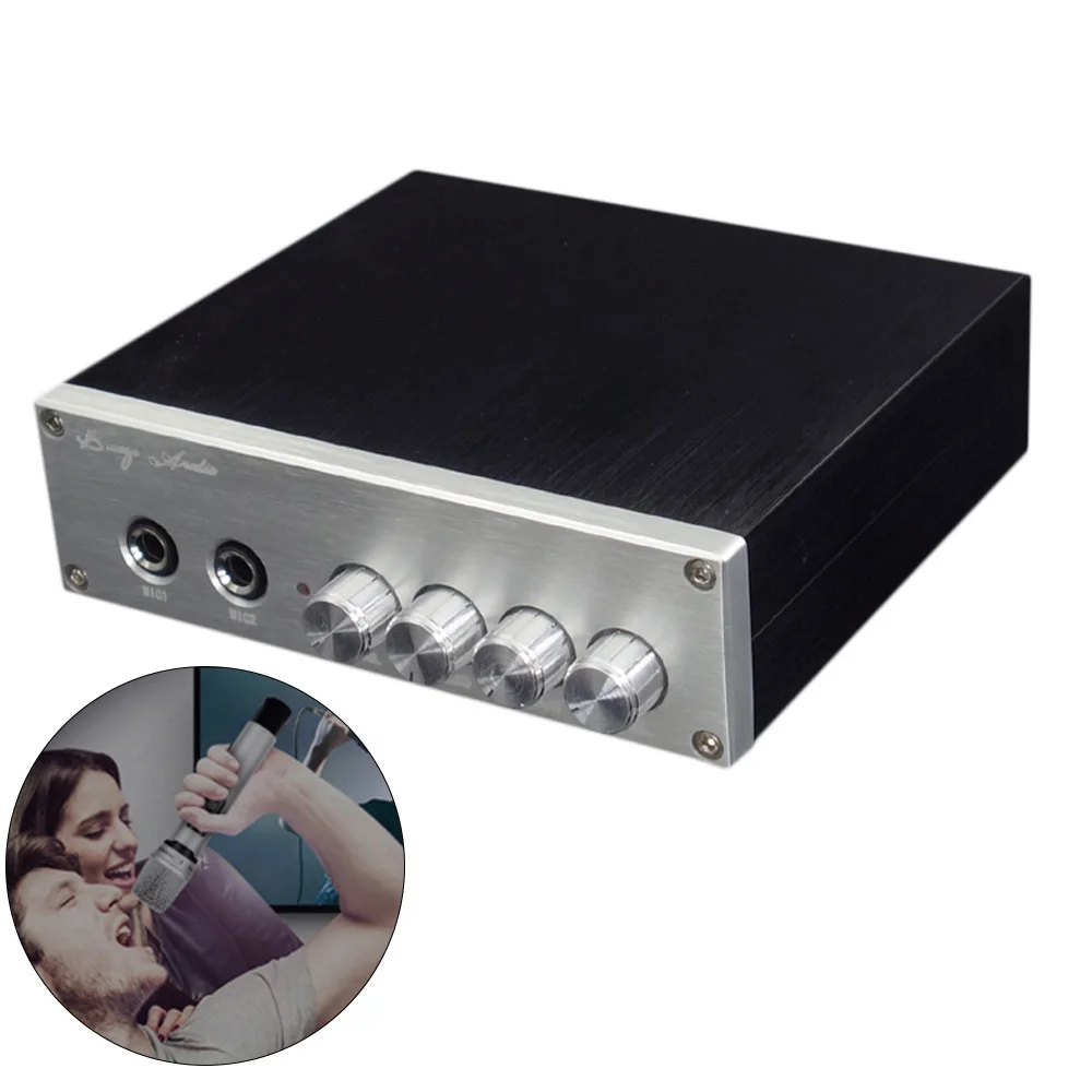AIYIMA 100 Вт * 2 TPA3116 HIFI высокомощный чистый цифровой аудио усилитель 0 Channe PT2399 караоке