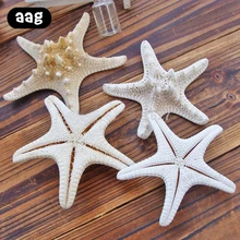 10pcs 5-8cm natural starfish Mediterranean Style DIY Artificial sea star shell Party Wedding home decor handicrafts white