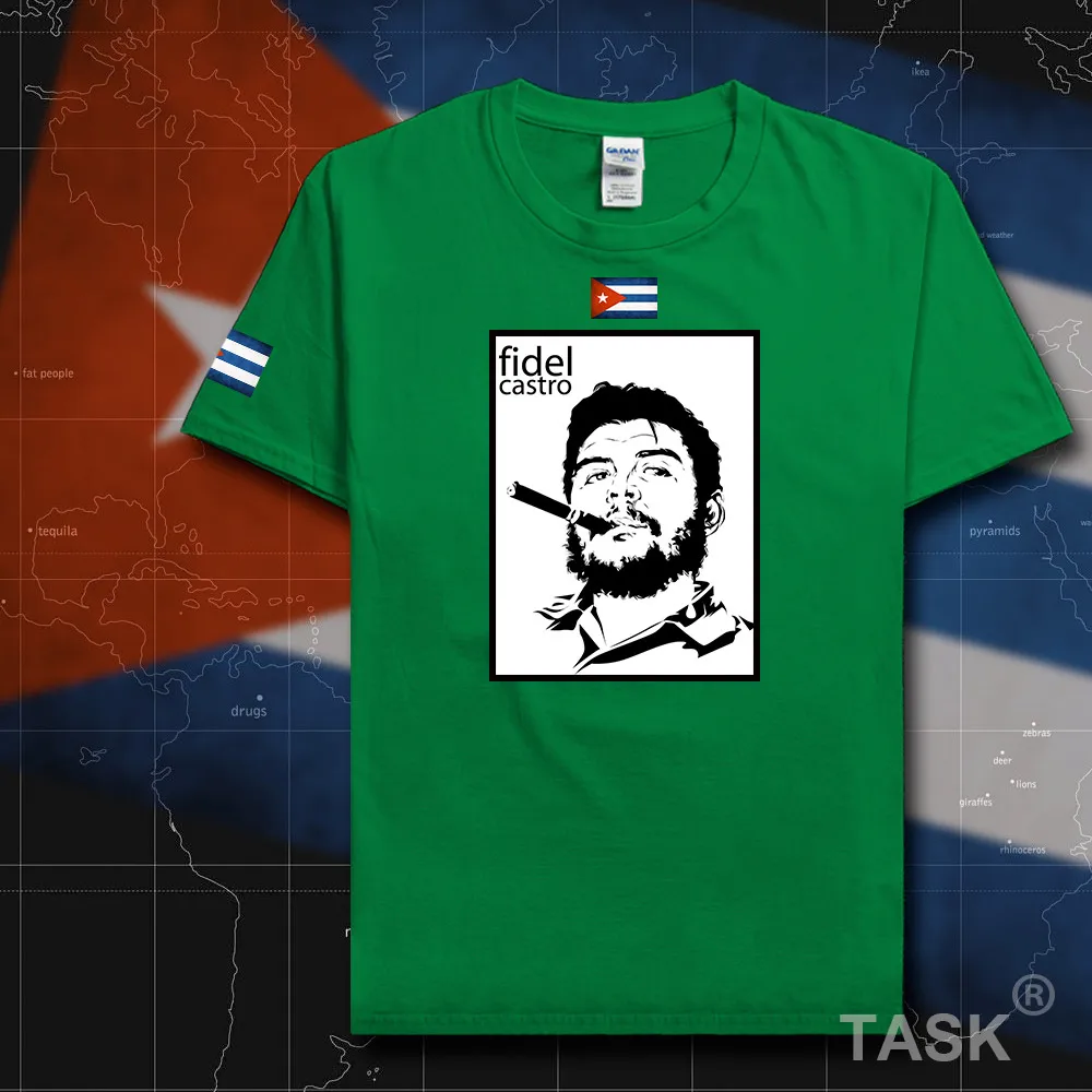HSPE_Castro07_T01irishgreen
