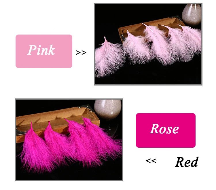 3196488608_1022353483