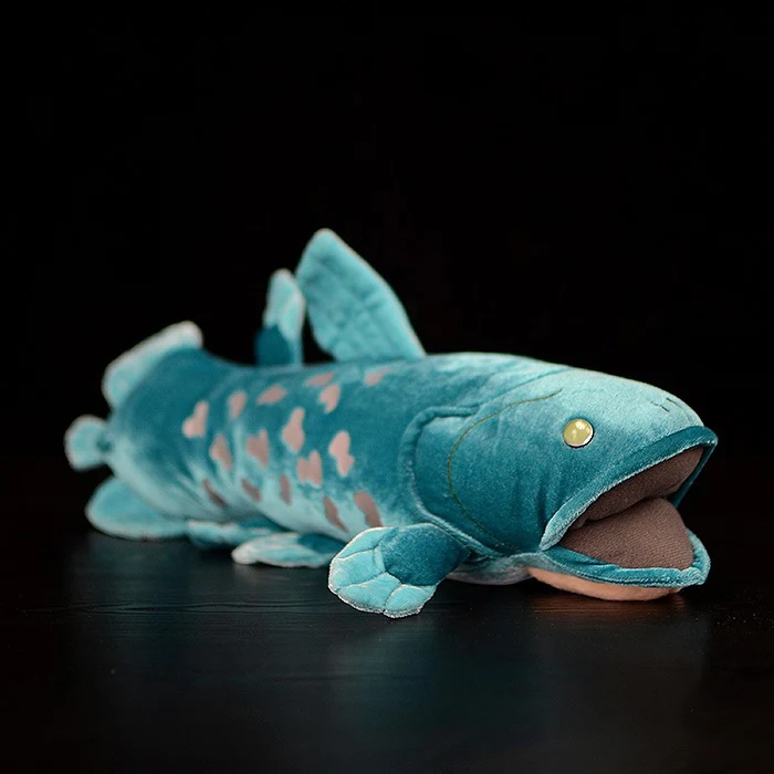 38 см длинные реалистичные объятия Coelacanth мягкие игрушки мягкие моделирование морские животные плюшевые игрушки рыба куклы для детей подарки на день рождения - Цвет: Coelacanth