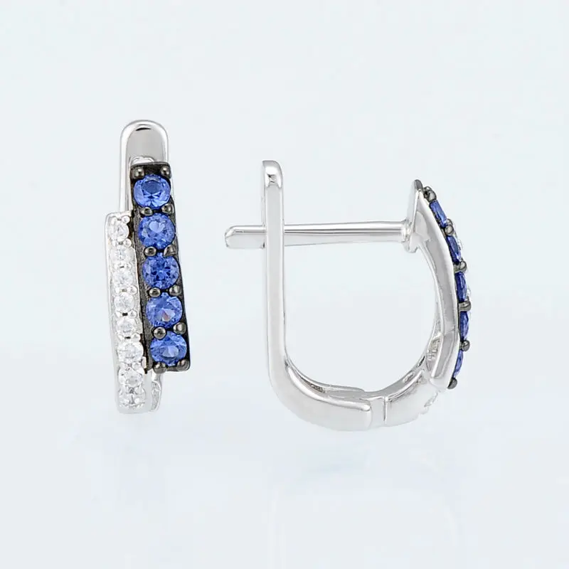 E304371SBZZSK925-SV2-Silver Earrings-002