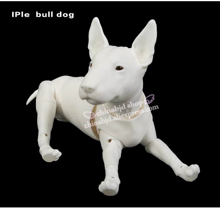 bjd dog