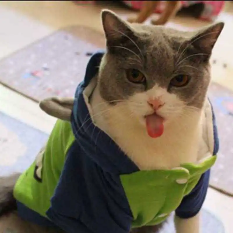 Г-н в! Теплый костюм с изображением котенка куртка Майк Вазовски кота одежда с капюшоном комбинезон