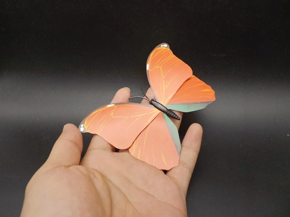 I226-Butterfly (2)