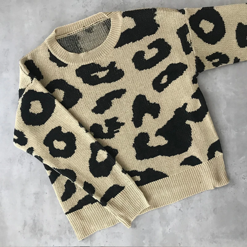 Streetwear Leopard Print Sweater Women 2018 Autumn Winter Fashion Long Sleeve Befree Knitted Sweaters and Pullovers For Ladies