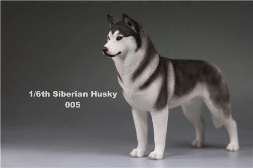 6 цветов, аксессуары для 1:6, Siberian Husky Simulation animals, фигурка для шестилетней собаки, модель игрушки для 12 дюймов, фигурка - Цвет: 005