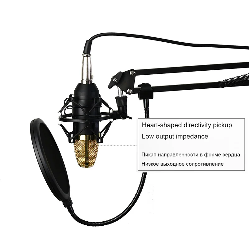 condenser microphone bm700  (2)