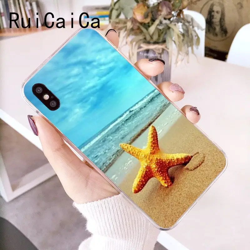 Clear sea sky beach starfish