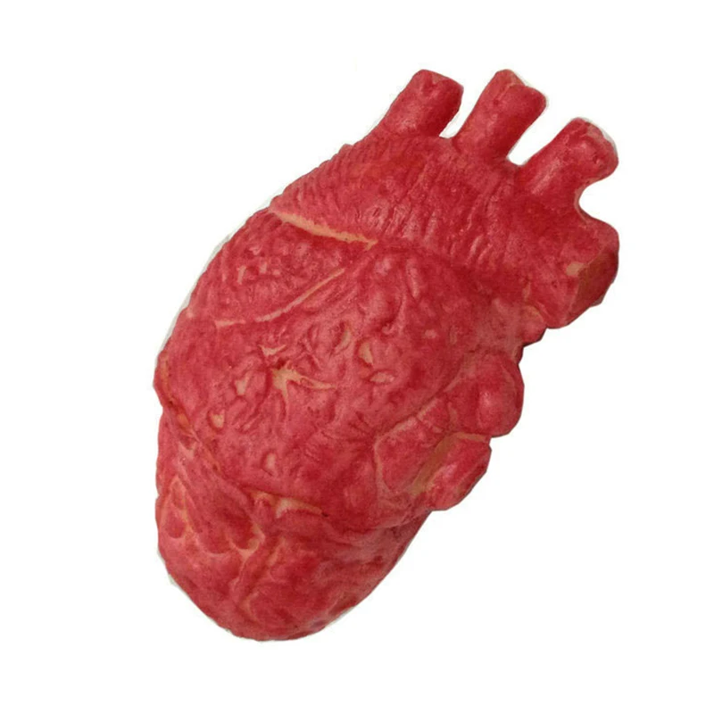 

1PC Halloween Horrible Bloody Severed Horror Scary Human Heart Lifesize Scary Fake Rubber Gory Body Part Halloween Decorations