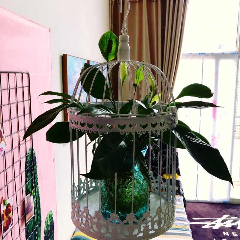 

Fashion Iron Wrought Iron Birdcage Flower Bird Cage Decoration Hanging Wedding Bird Cage Candler Houder