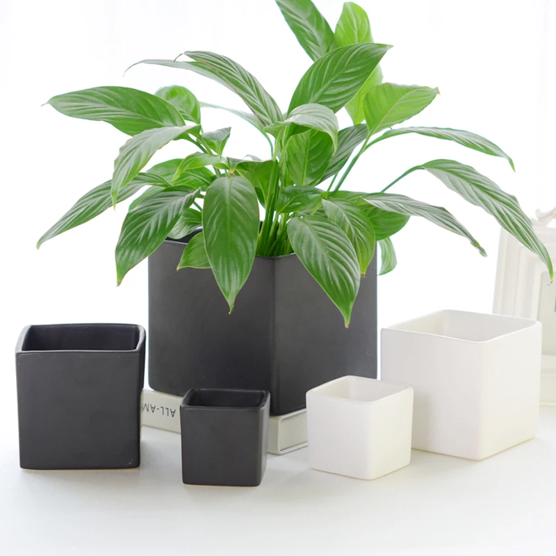 

Brief Scandinavian Matte Pots Square Ceramic Flowerpots