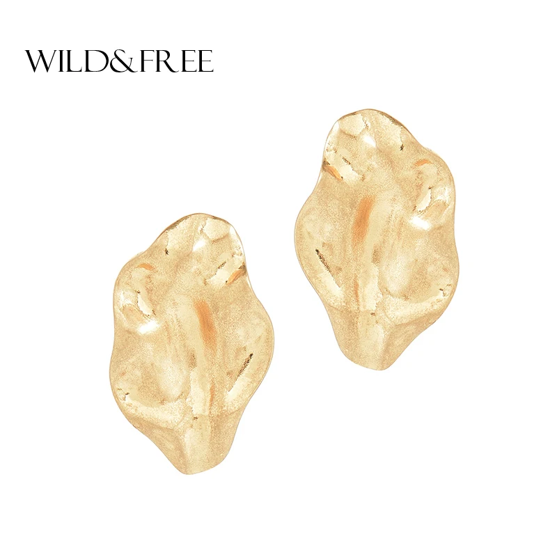 

Wild&Free Zinc Alloy Alloy Geometric Stud Earrings Irregular Gold Silver Leaves Shape Stud Earring Fashion Jewelry Wholesale