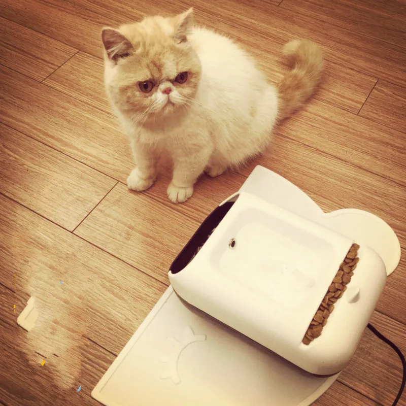 Pet Supplies Automatic Water Bowl for Cats Water Dispenser Pump Drinking Bowl for Dog Rabbit