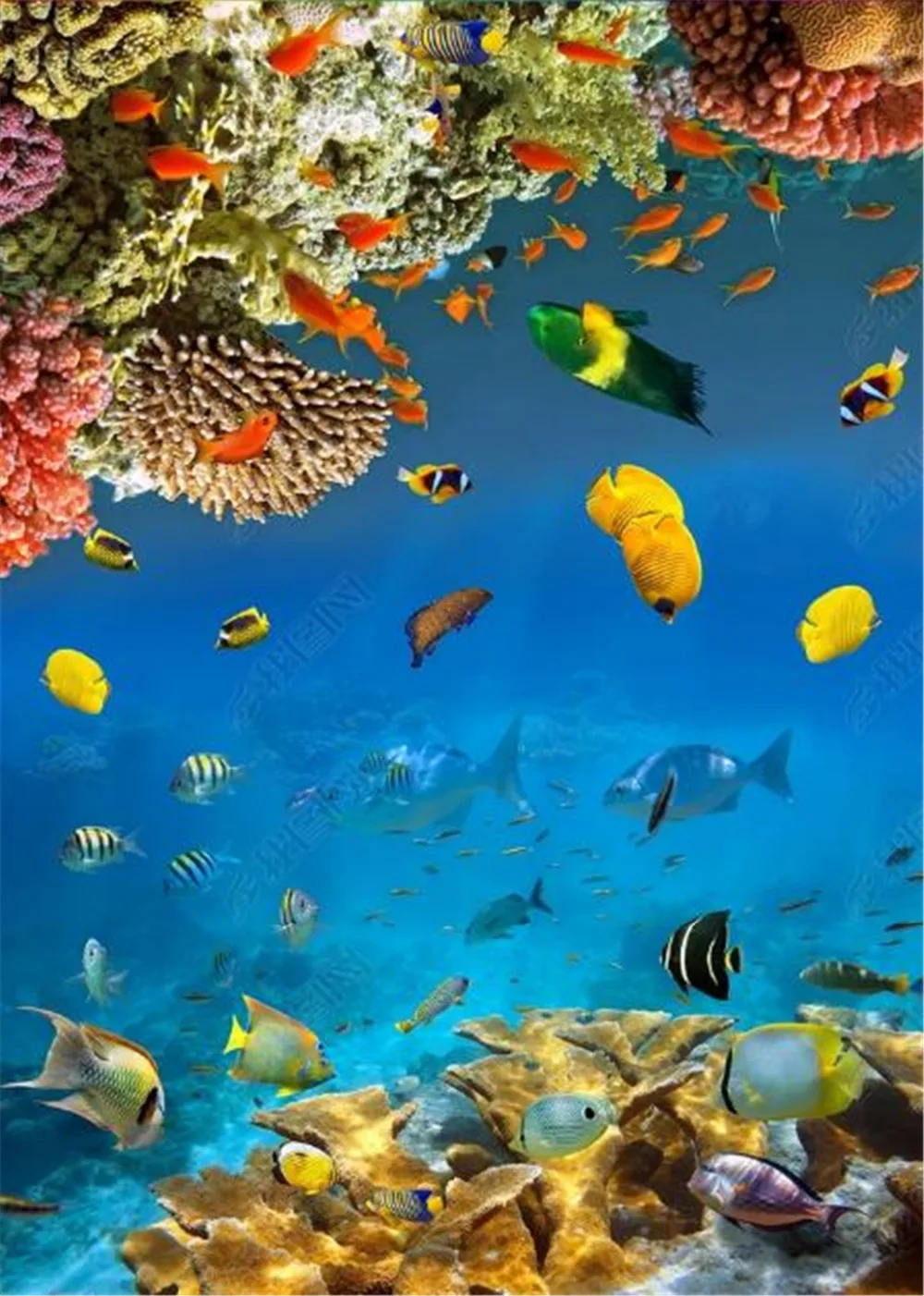 3d обои рыбы группы Коралл изысканный подводный мир гостиная спальня Напольная Фреска, обои