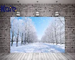 Kate Зима фотографии Фоны снег дерево живописные фотографии фонов Street Фоны для фото-студии с голубое небо