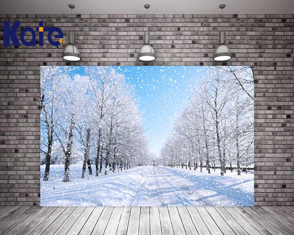 

Kate Winter Photography Backgrounds Snow Tree Scenic Photography Backdrops Street Backgrounds-For-Photo-Studio With Blue Sky