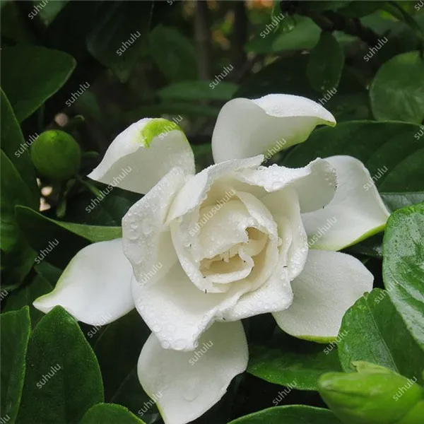 20191008_174320_121