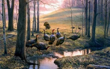 

HD Printed Modern Art Wall Decor ColorIn The Wild Animal Turkey Oil Painting Picture On Canvas Sitting Room Decorate