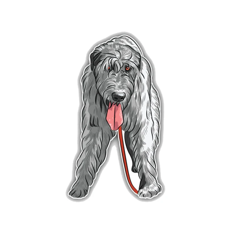 YJZT 8 2*13 7 см ирландская фотосессия|car sticker|car decoration stickersdecoration car |