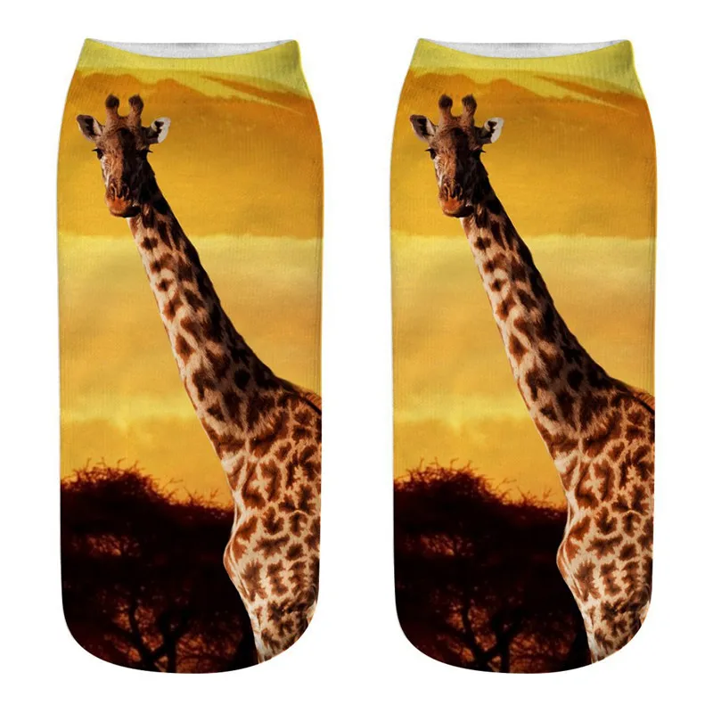 10338129202_520631427