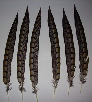 

50pcs 30-35cm / 12-14'' long real natural amherst pheasant tail sword feathers for home party table decoration jewelry making