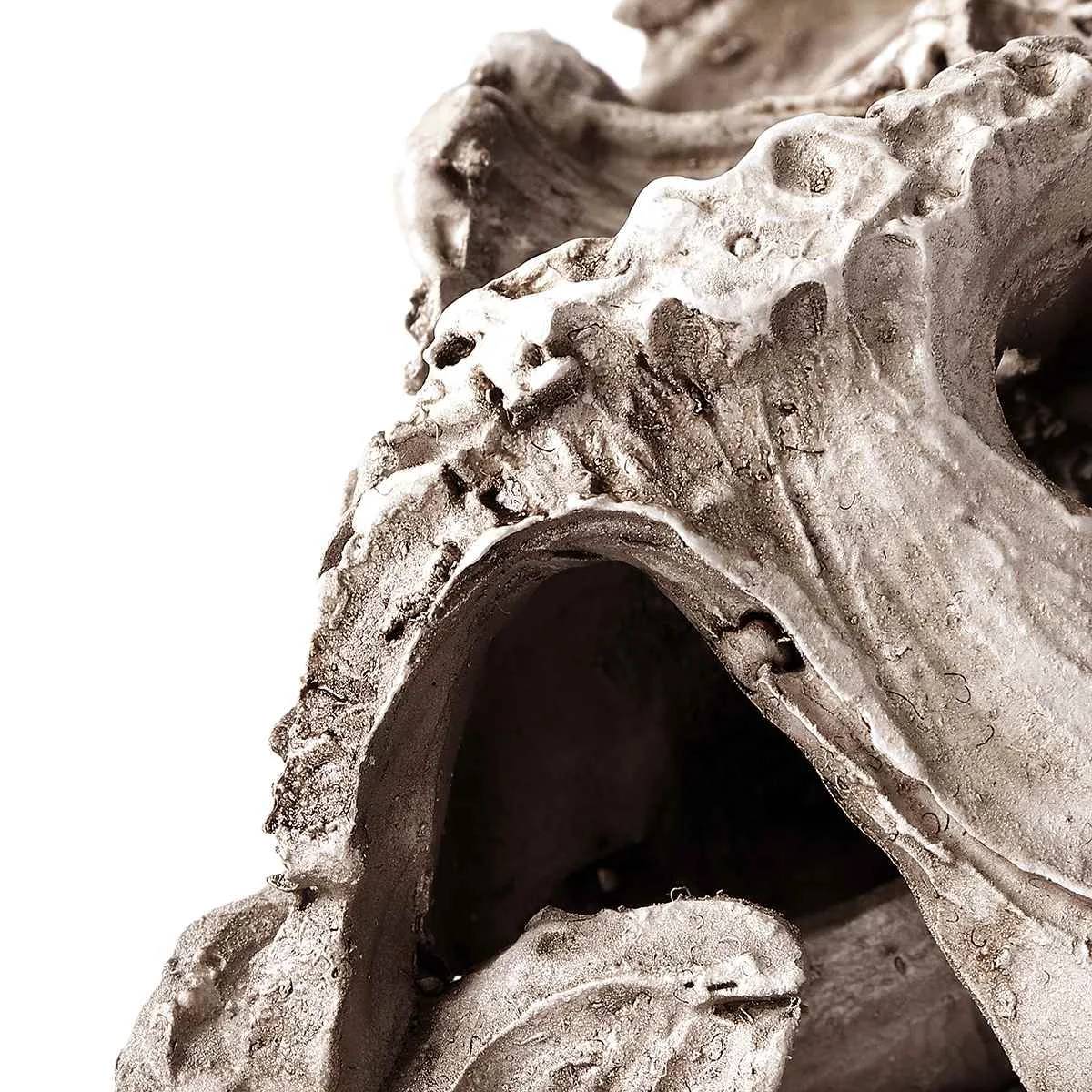 Смола динозавр зуб череп обучение скелет модель украшения дома и офиса тираннозавра Рекс образовательная научная игрушка подарок на год
