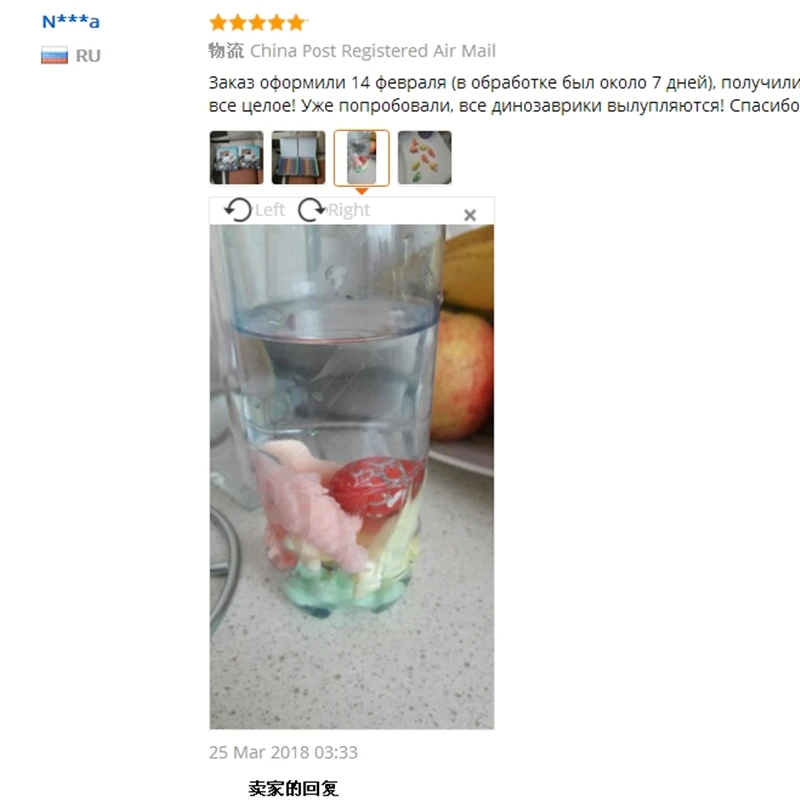 Dinosaur Eggs Toy (6)