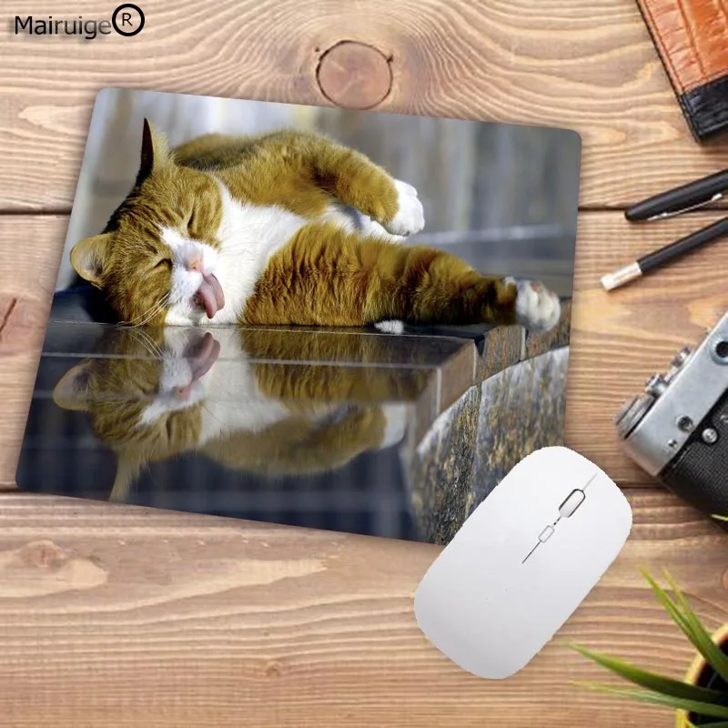 185funny-fat-cats
