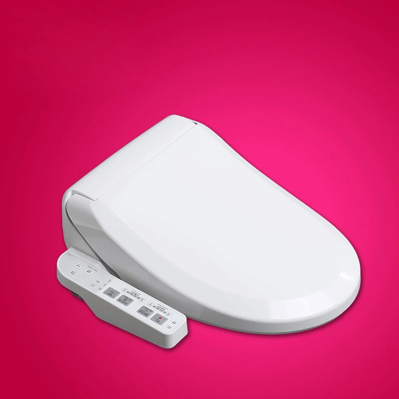 Japanese Intelligent Electric Bidet Seat Toilet Water Female Washing Smart Toilet Bidet Seat Panel Control Smart Toilet Shower