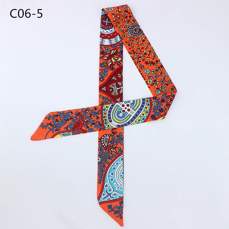 C06-5
