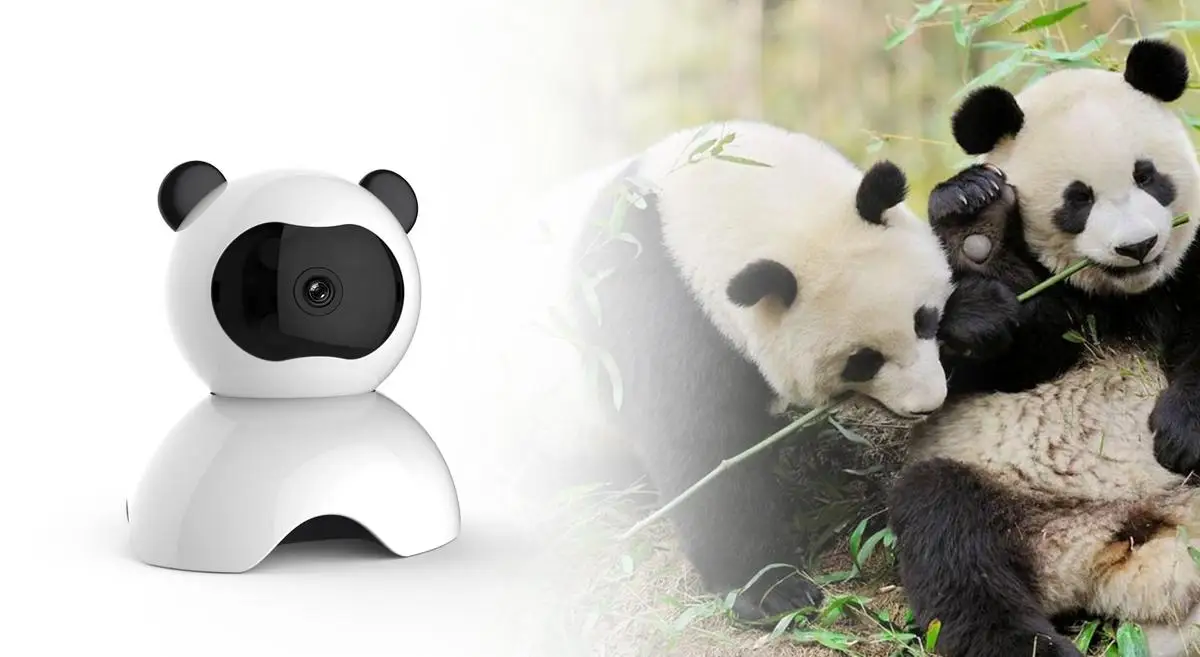 China Cute panda shape FHD 1080p wifi CCTV camera remote control PTZ cloud storage IP camera security camera.jpg