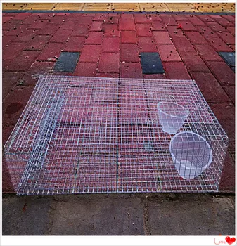 

Live Catch 90% success rate Western Brown Snake trap/Pseudonaja Nuchalis trap with low price and free shipping