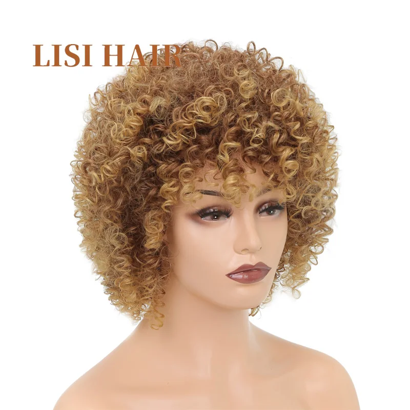 LISI HAIR Brown Mix Blonde Color 16Inches Long Afro Kinky Wigs For Black Women Synthetic Hair African Hairstyle2 (2)