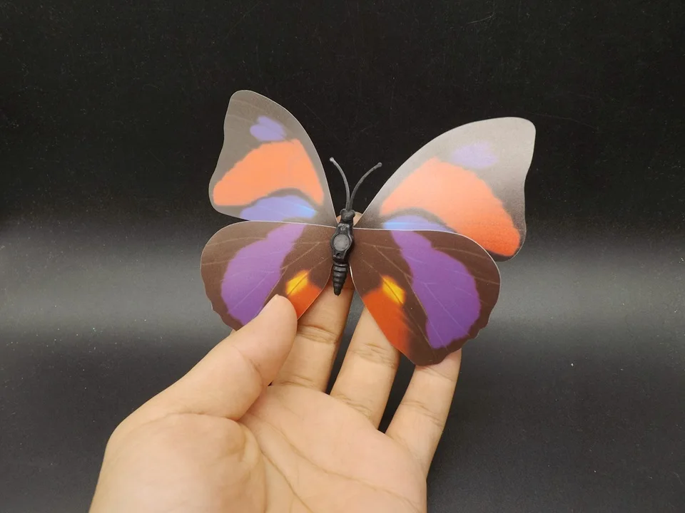 I240-Butterfly (4)