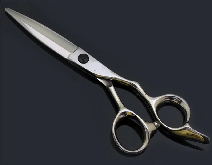 

6" dry cut & slide cutting scissors for professional salon use with wide leaf spring blade