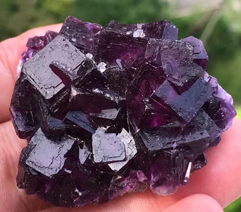 

63g Nature Cubic PURPLE FLUORITE CRYSTAL CLUSTER Mineral Specimen amethyst prices