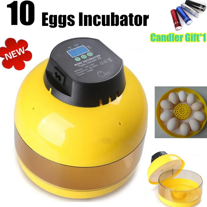 quail egg incubator
