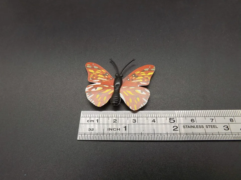 I255-Butterfly (10)