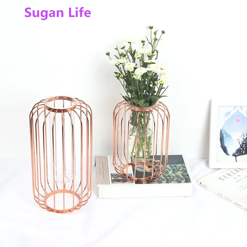 

Nordic Style Simple Geometric Wrought Iron Transparent Glass Hydroponic Vase Room Dried Flower Flower Arrangement Home Decor