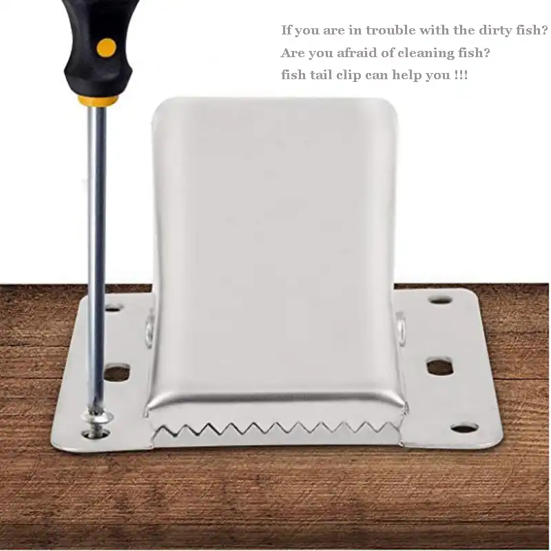 Detail Feedback Questions About Stainless Steel Fish Fillet