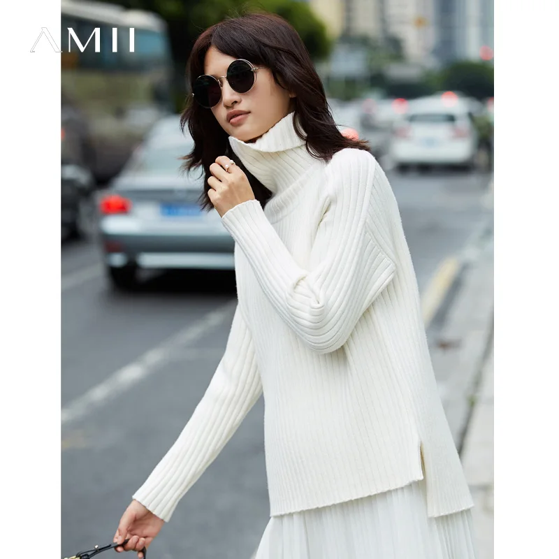 

Amii Minimalist Casual Women Sweater 2019 Solid Turtleneck Female Pullovers Warm Sweaters