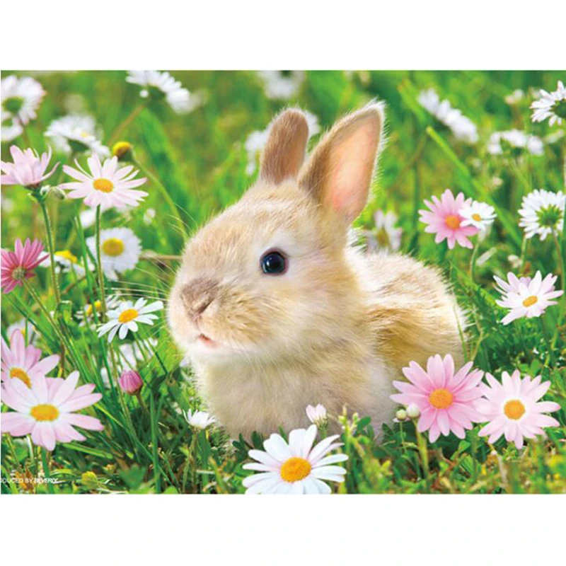 

Full round drill 5D DIY Diamond embroidery Bunny in the flower Diamond Painting Cross Stitch Rhinestone Mosaic decoration fc810