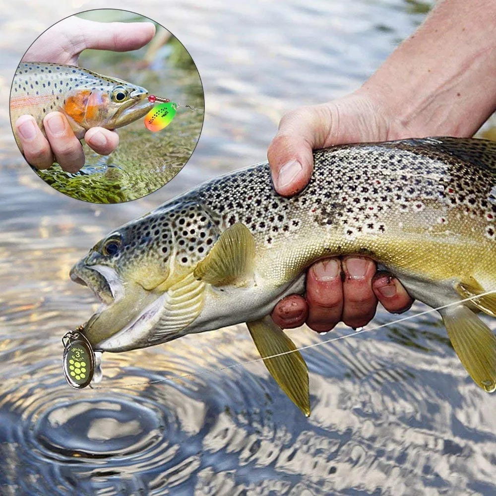 81NoNKjcmYL._SL1500_