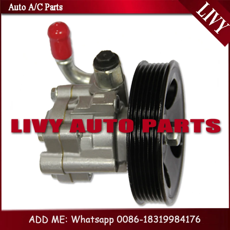 Power Steering Pump For Car Nissan Navara D40 QP25 49110 JR500