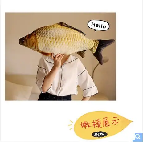36020170804234712686