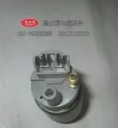 $US $21.20  Genuine High Quality Fuel Pump core with filter for Chevrolet Captiva 381301/DSF-BX043 #01051021-02